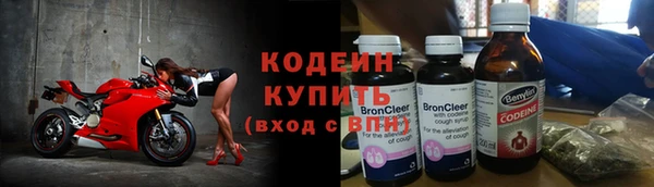 сатива Снежинск