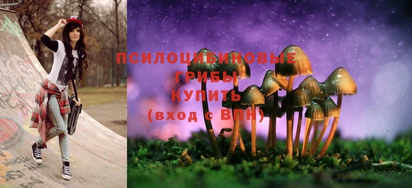 MDMA Premium VHQ Белокуриха