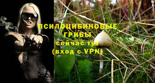 гидра Белоозёрский